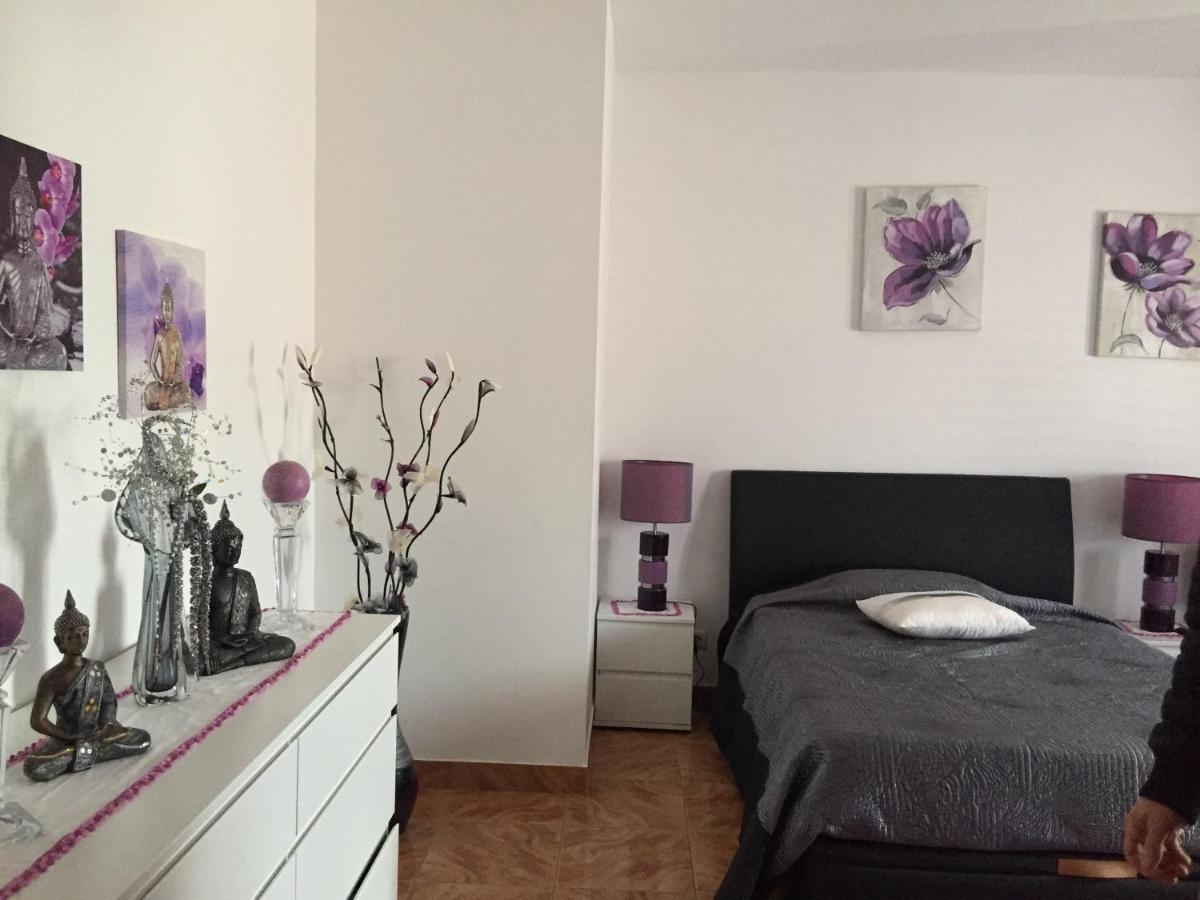 Cacador Homestay